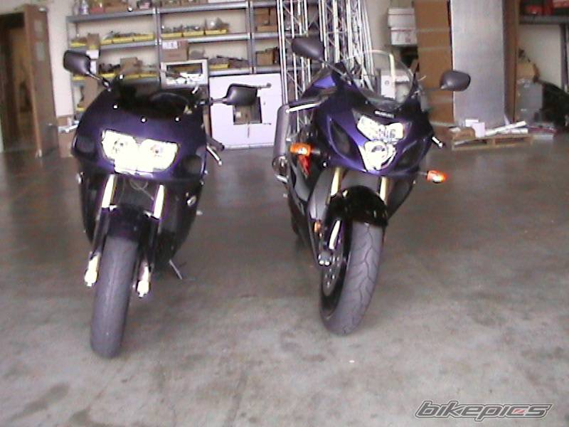 Photo 395867
