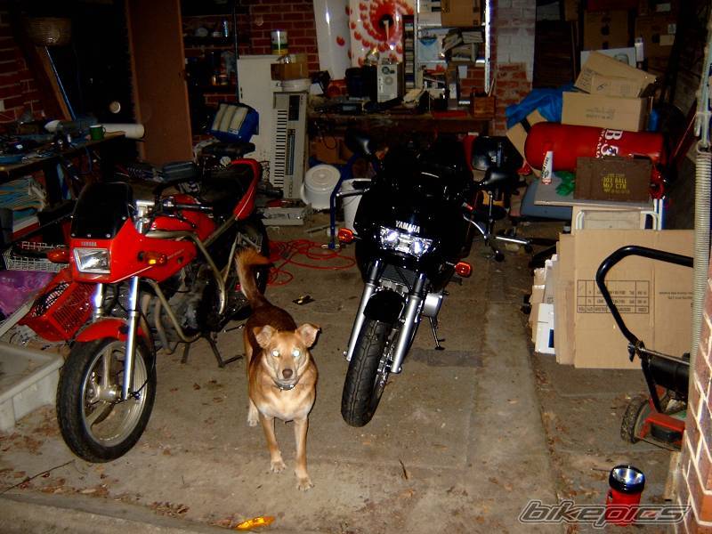 Bike Photo 395972