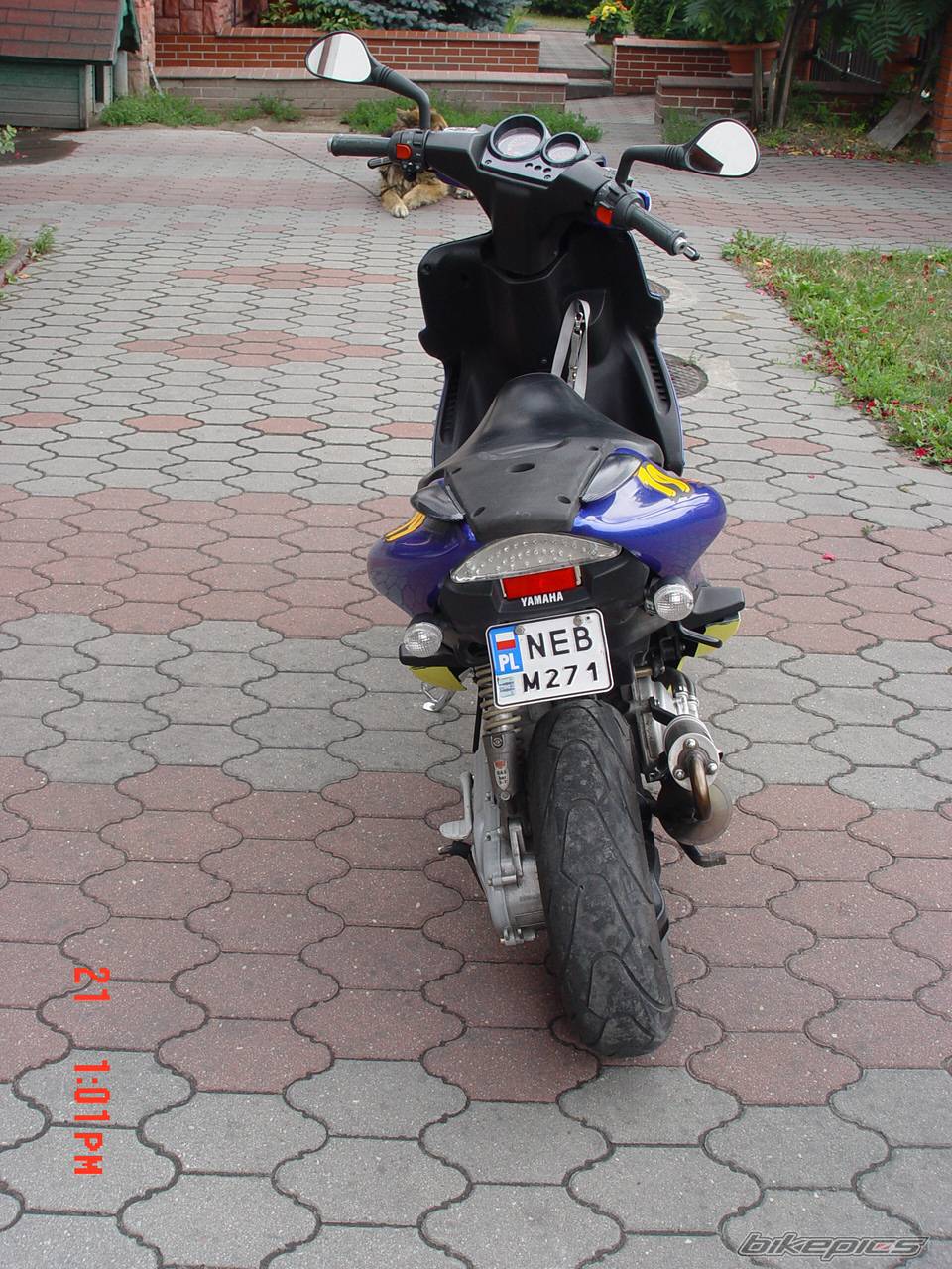Photo 396033