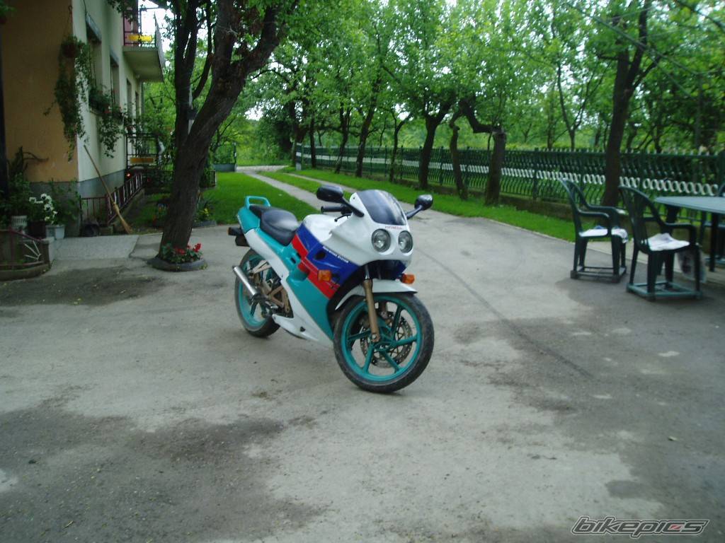 Photo 396067