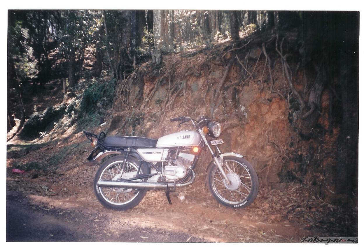 Bike Photo 396073