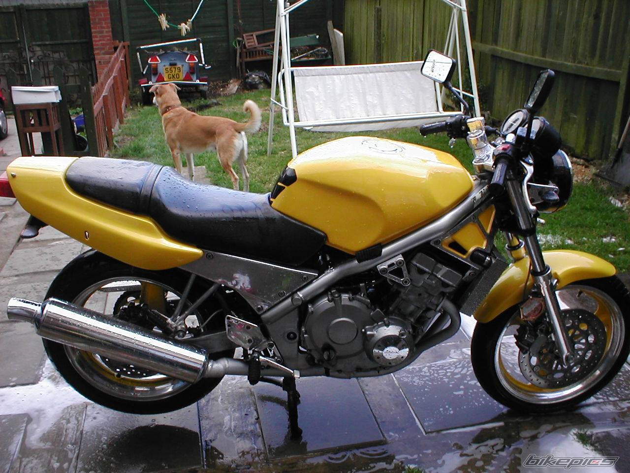 Photo 396270