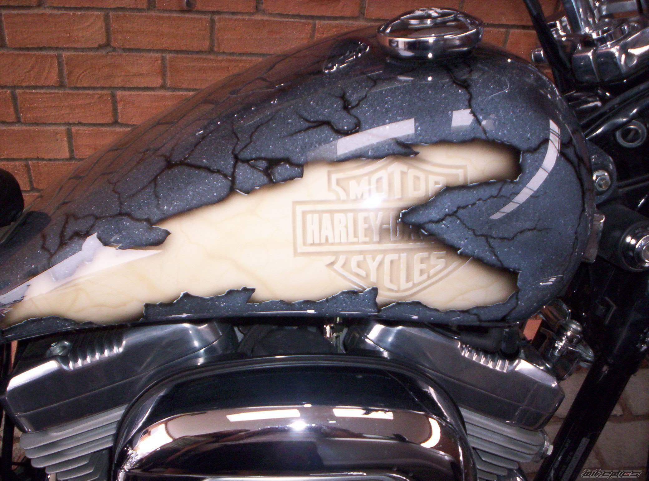 Bike Photo 396331