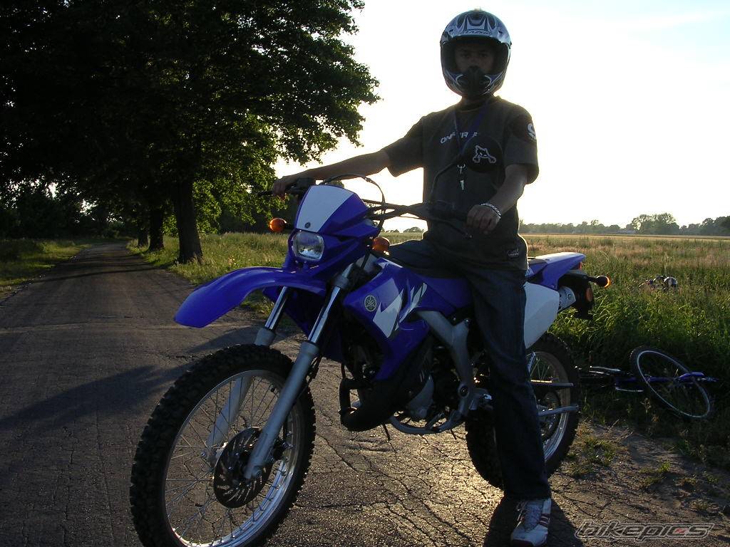 Photo 396569