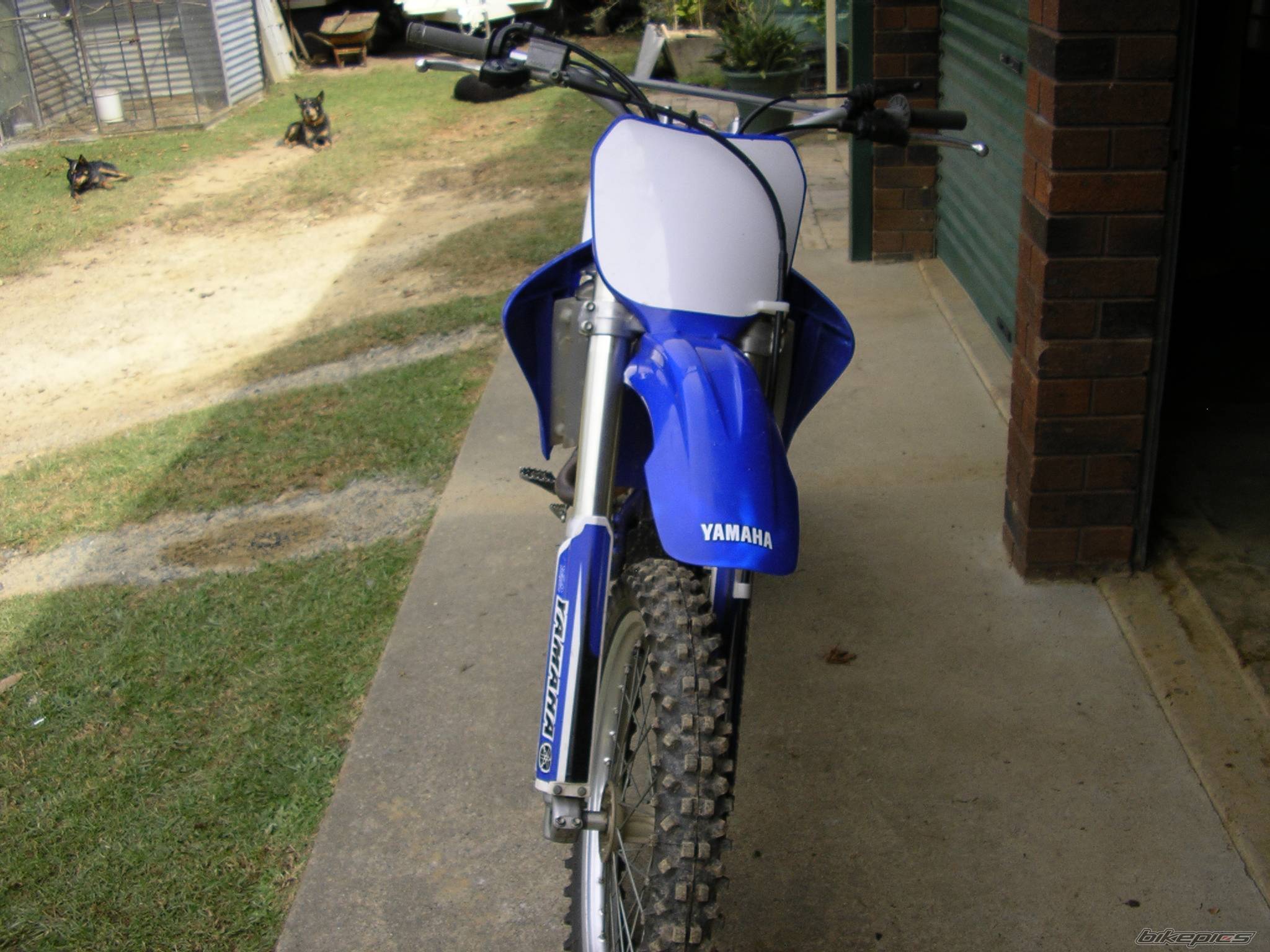 Photo 396578