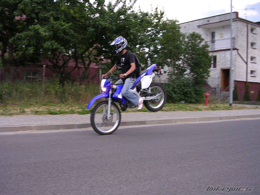 Photo 396602