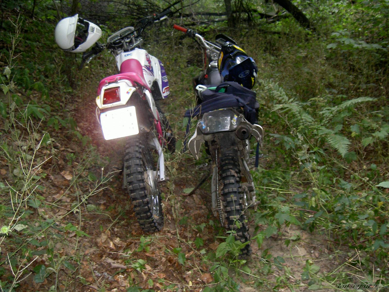 Photo 396814