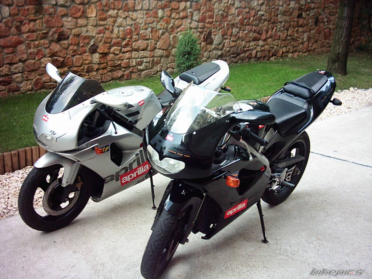 Photo 396939
