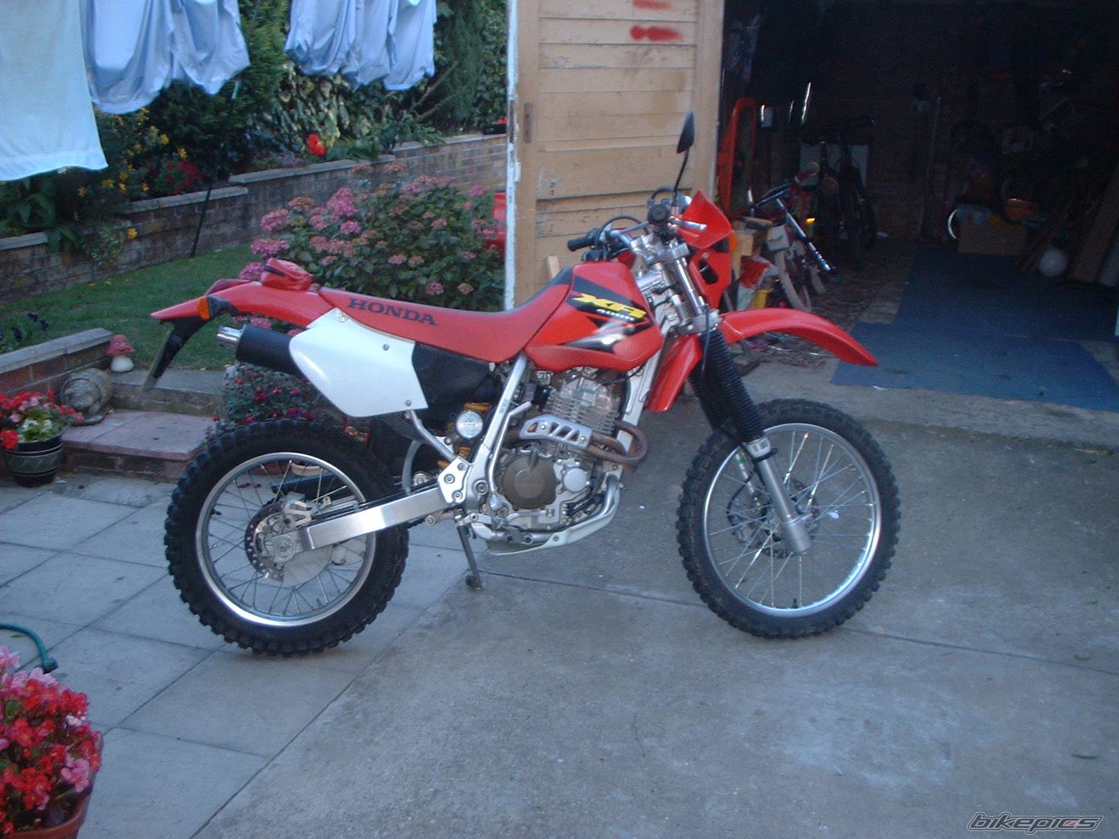 Photo 396941