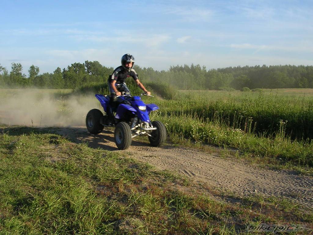 Photo 397026