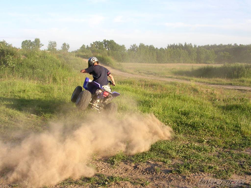 Photo 397036