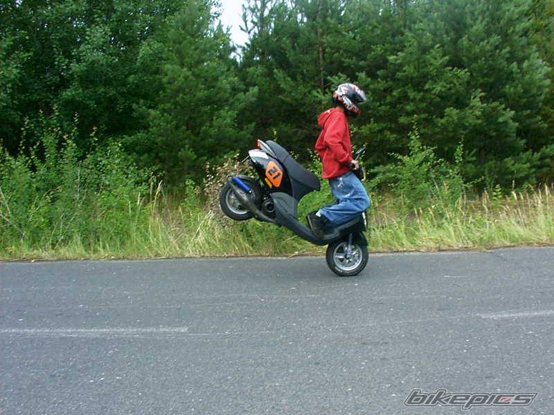 Photo 397292