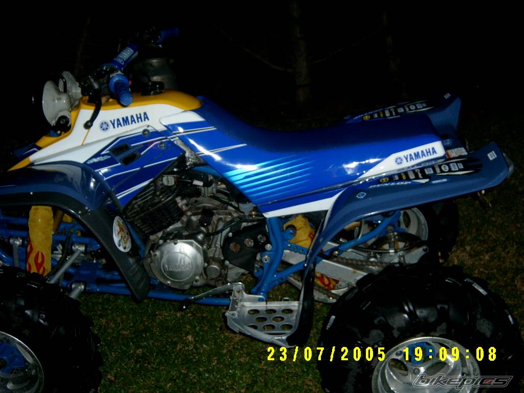 Photo 397348