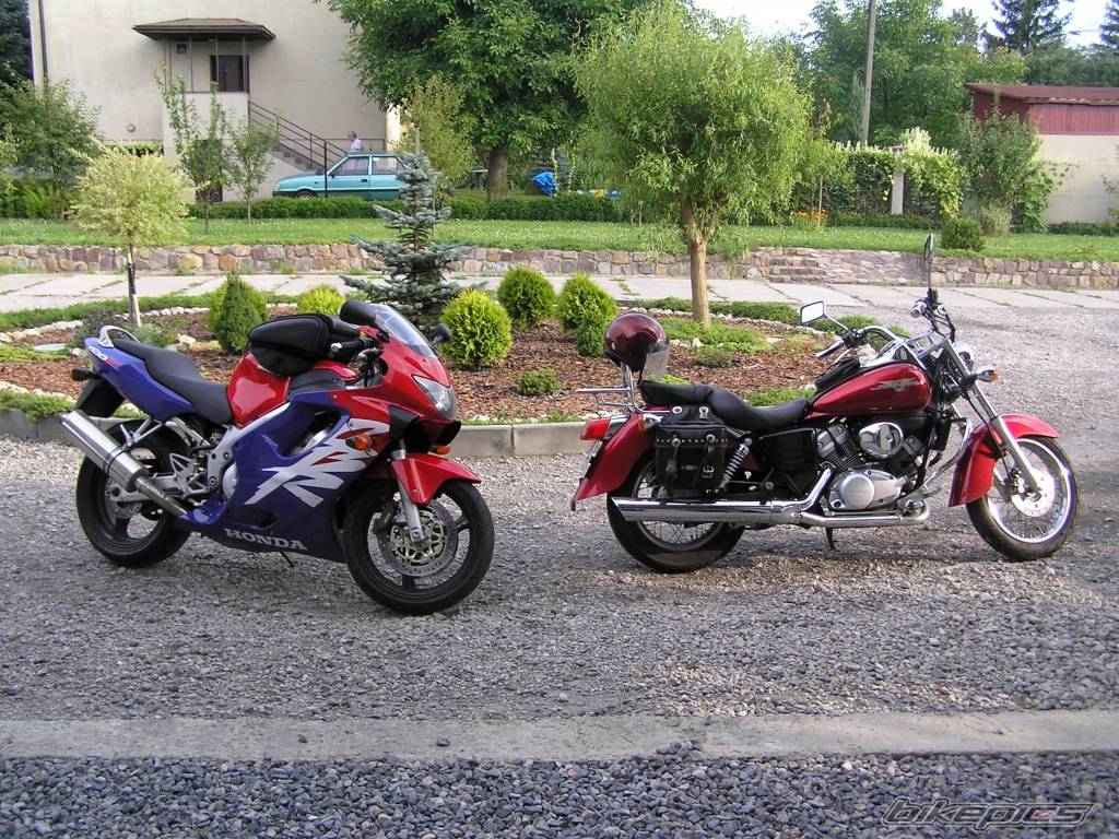 Photo 397354