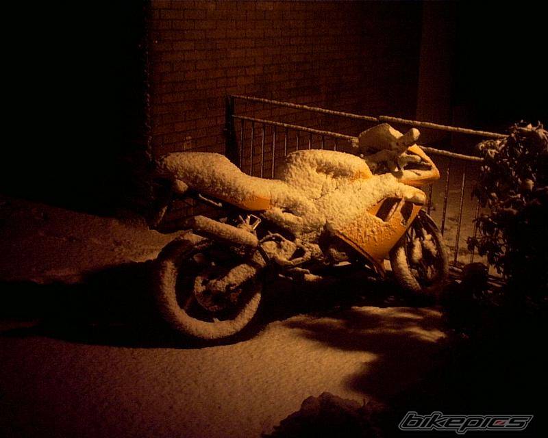 Photo 397624