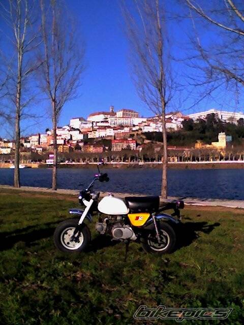 Bike Photo 397664
