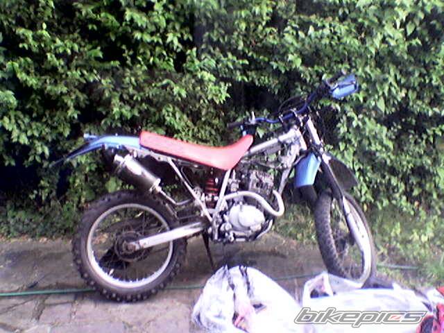 Photo 397728