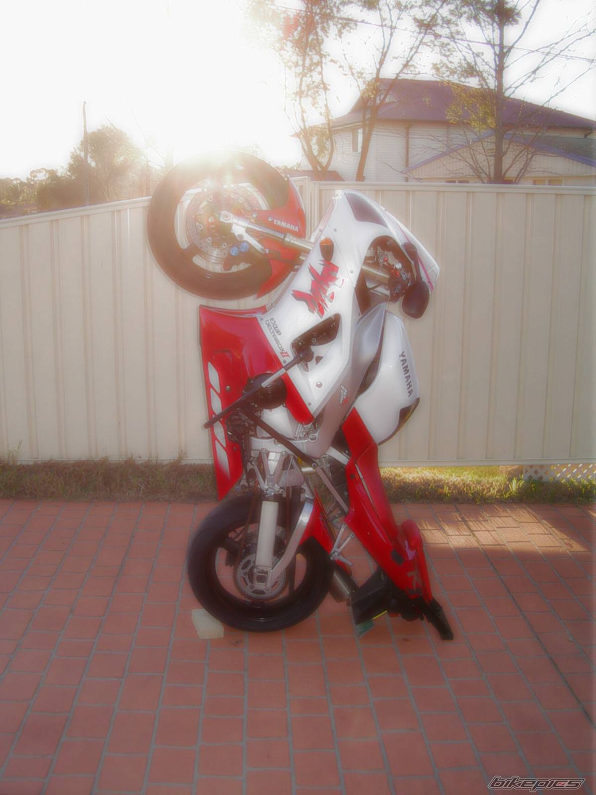 Bike Photo 397729
