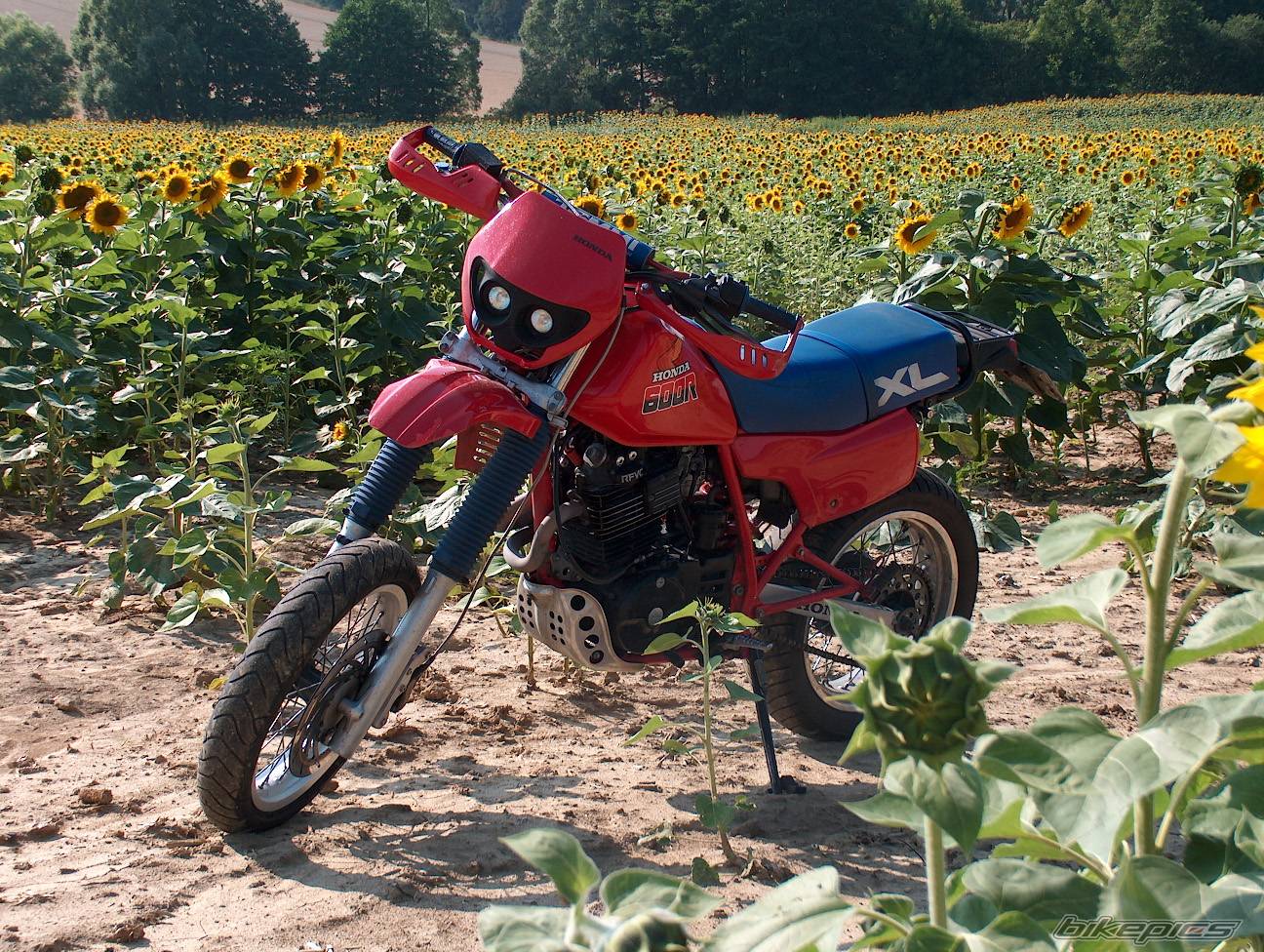 Bike Photo 397918