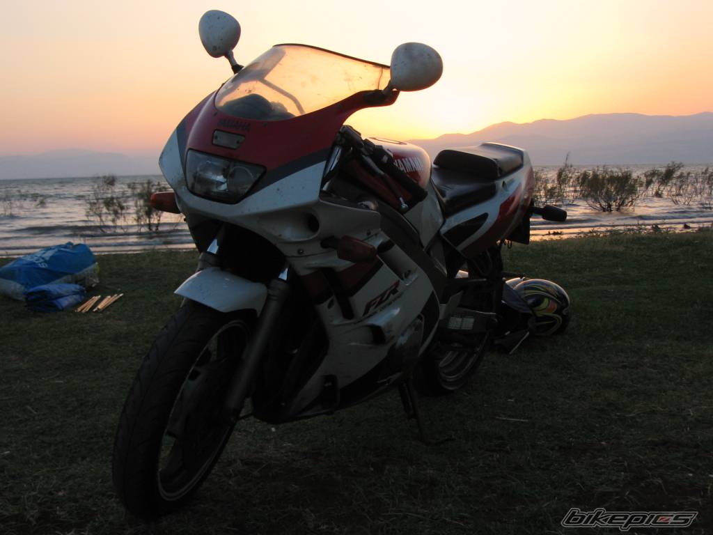 Photo 397955