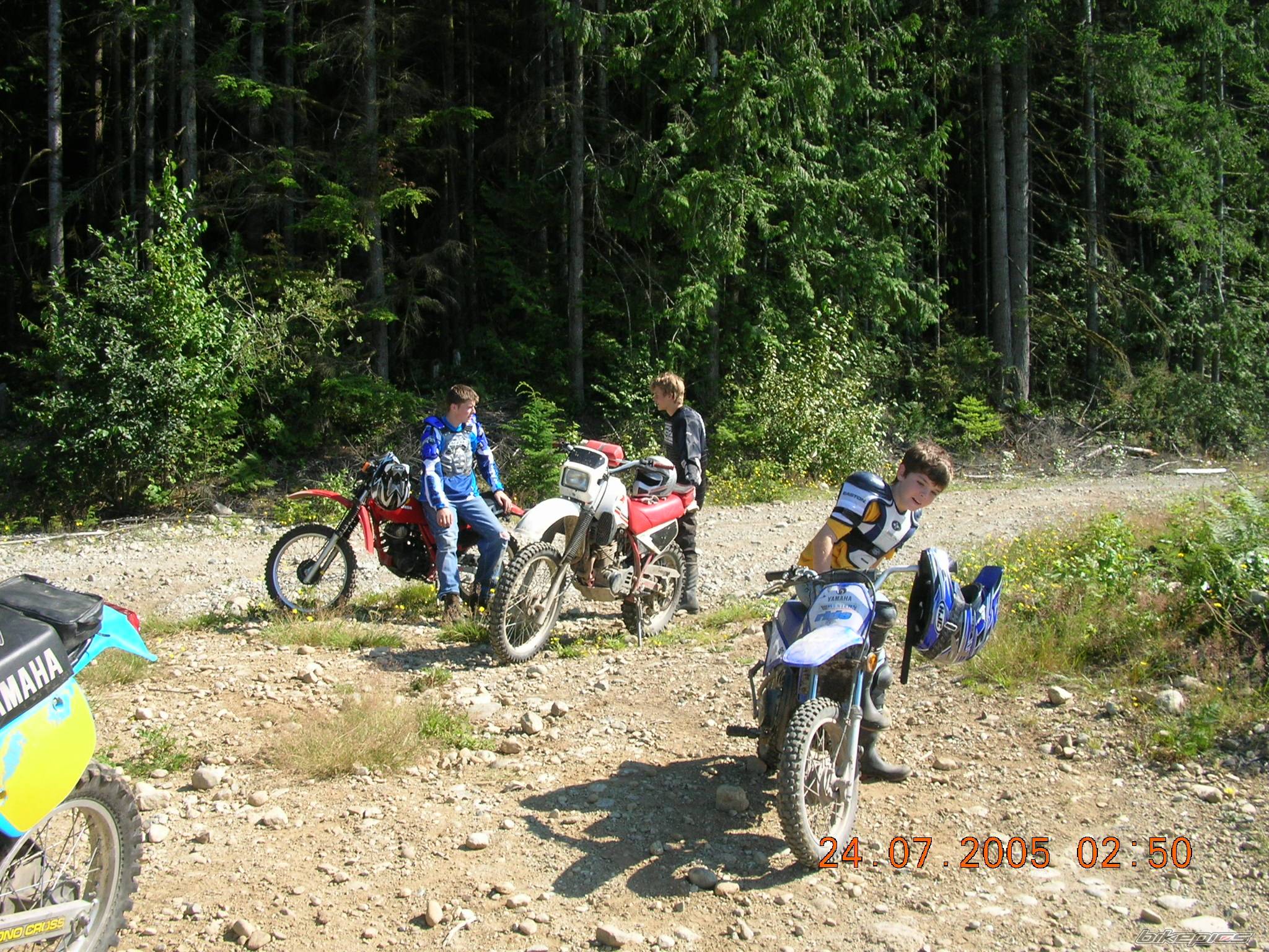Photo 398257