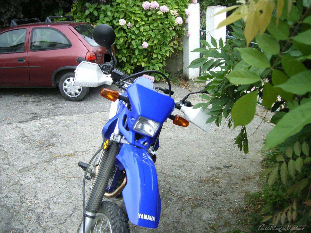 Bike Photo 398365