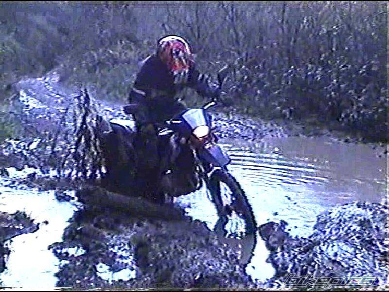 Bike Photo 398371