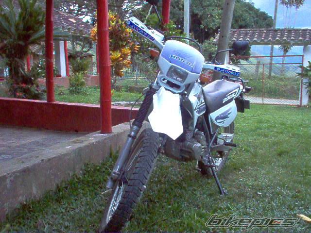 Photo 398410