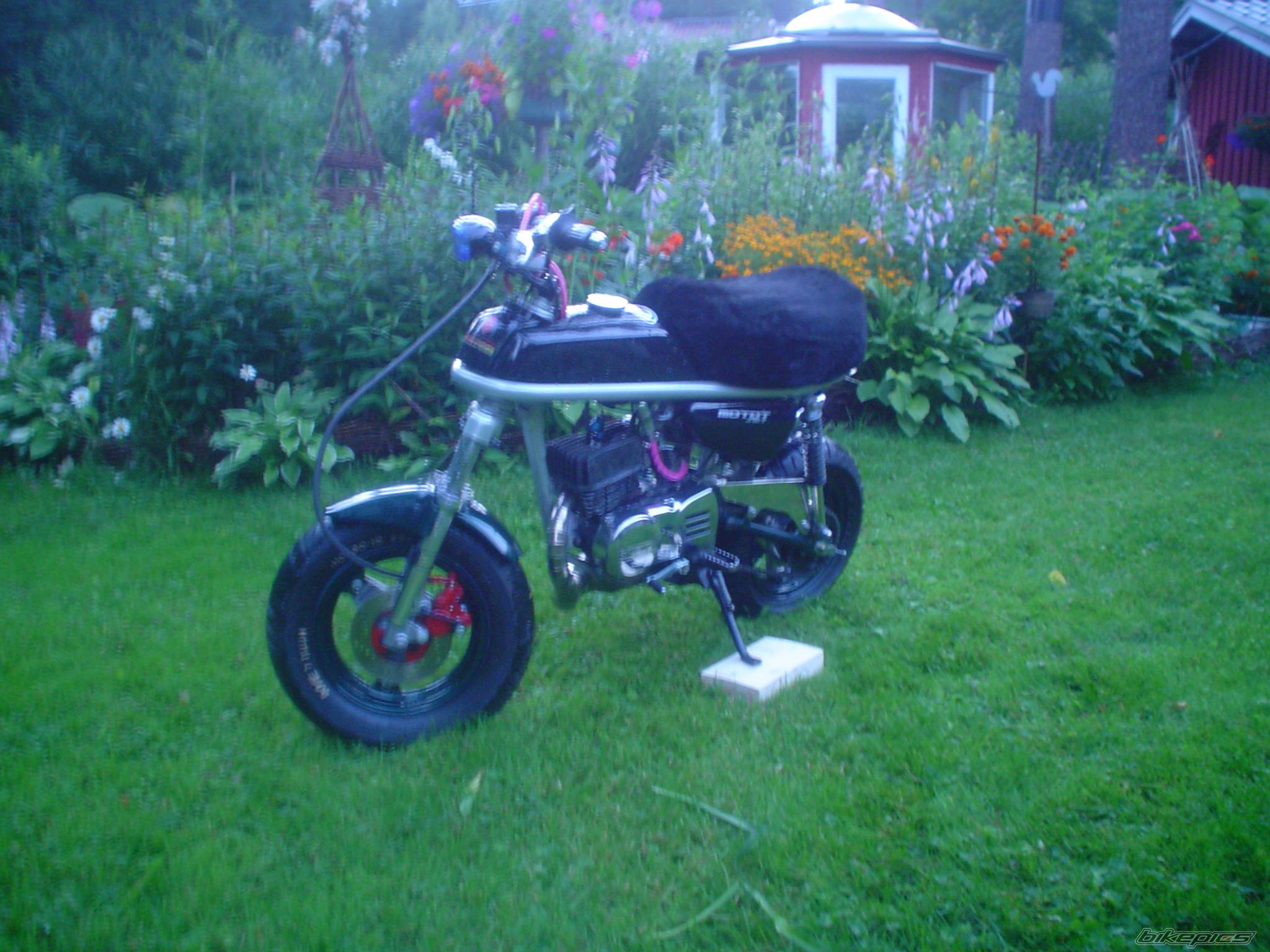 Photo 398666