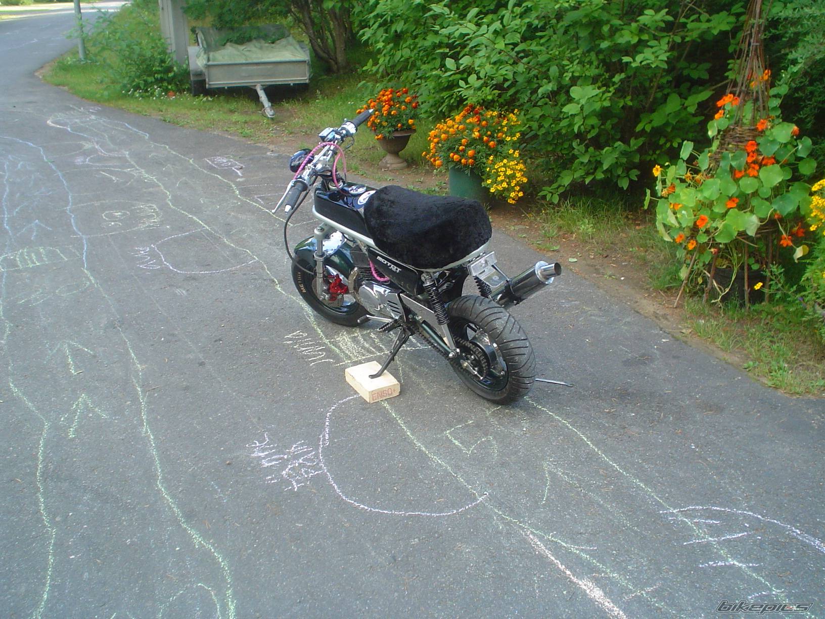 Photo 398667