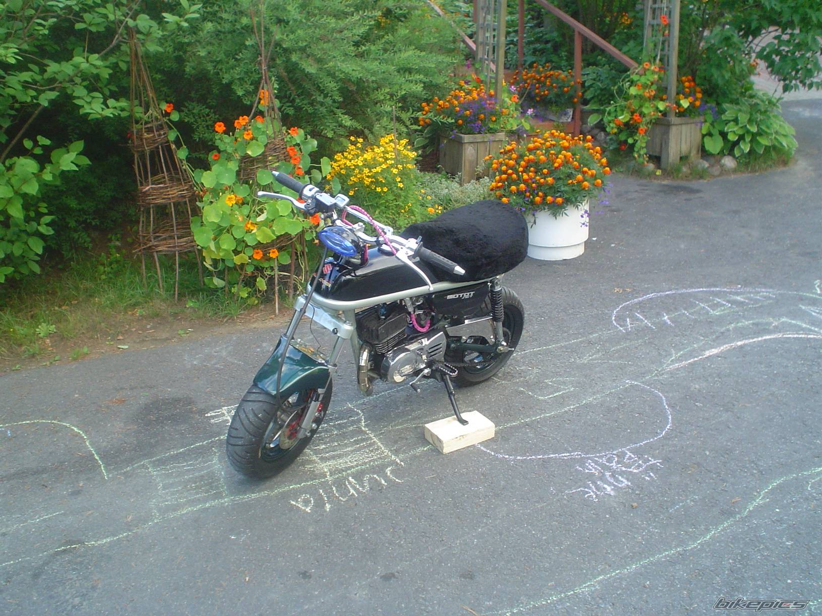 Photo 398669