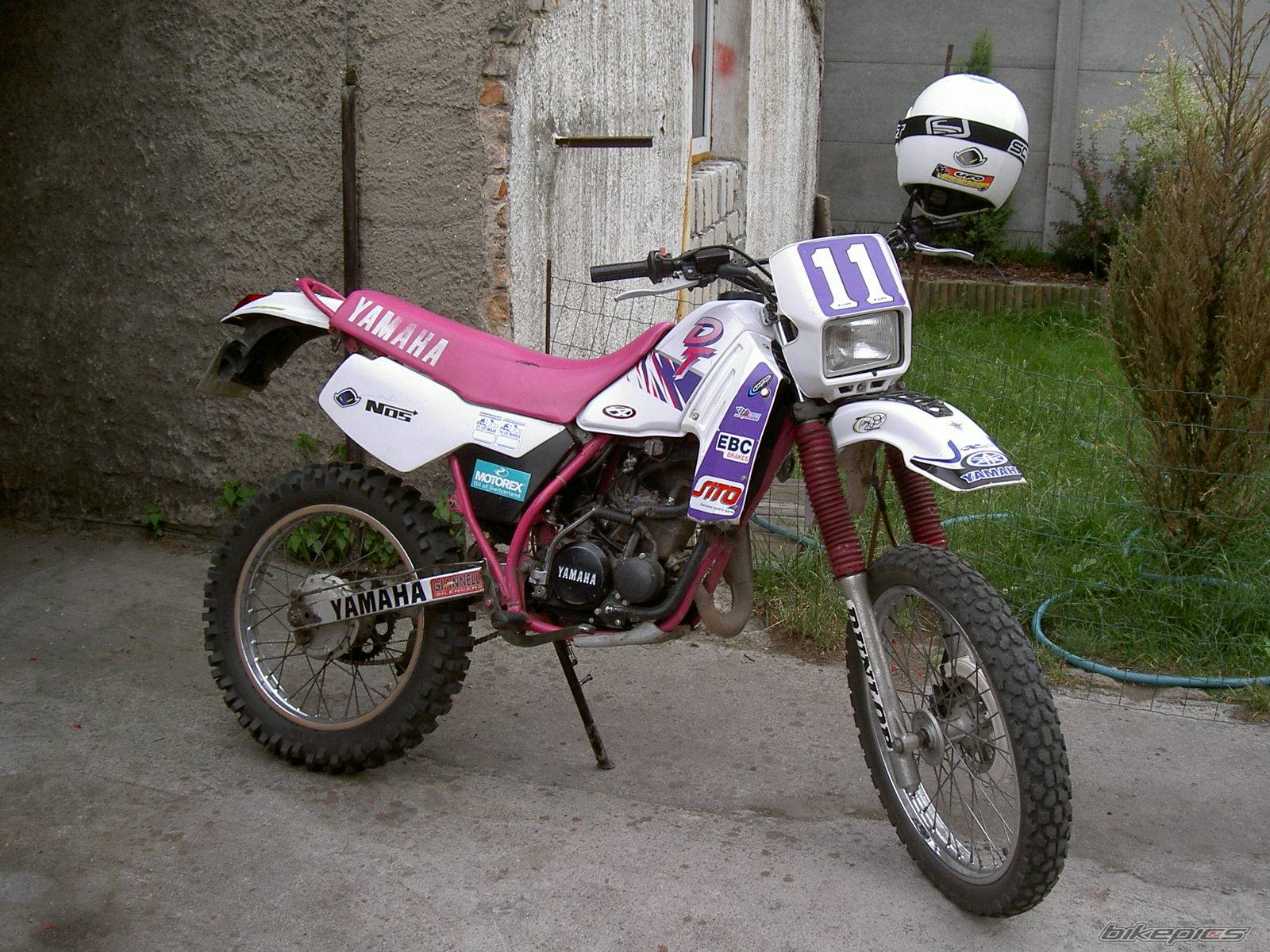 Photo 398687