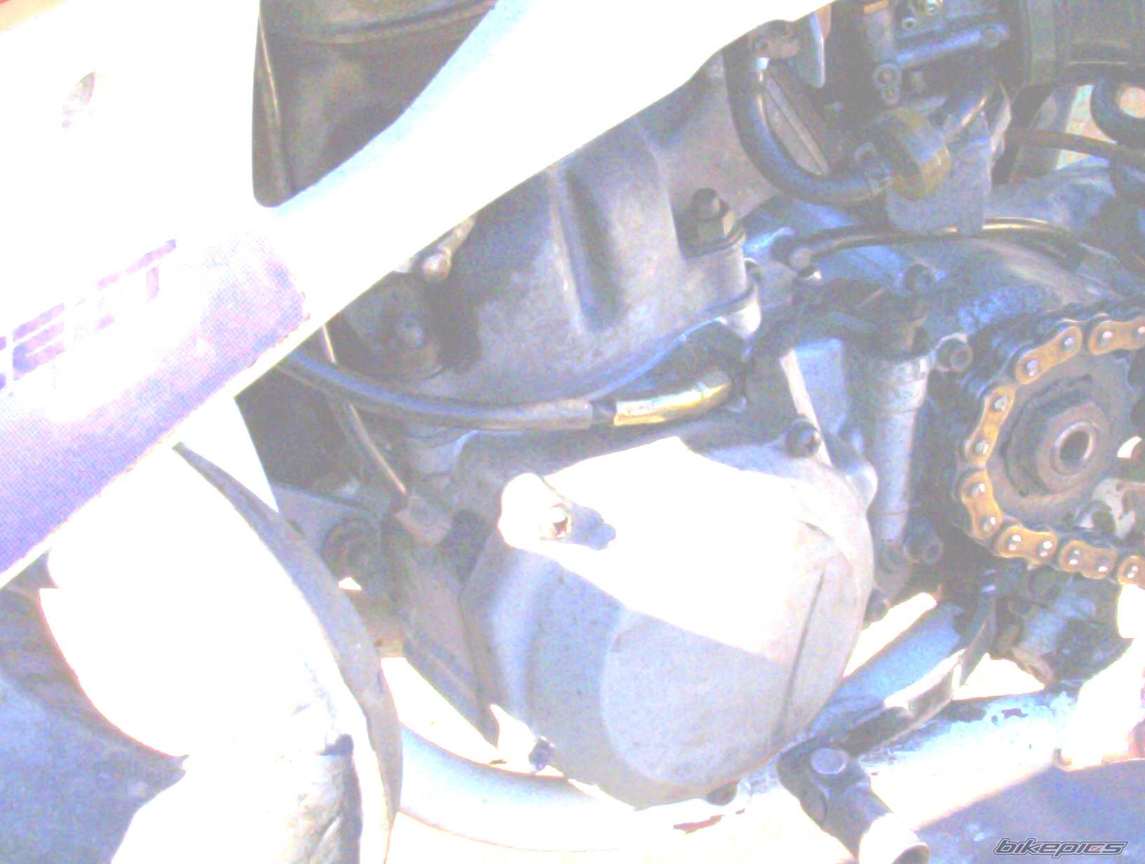 Photo 398909