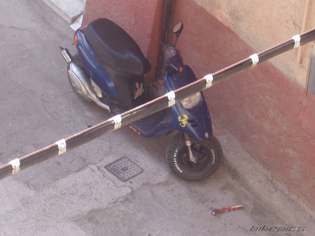 Photo 398954