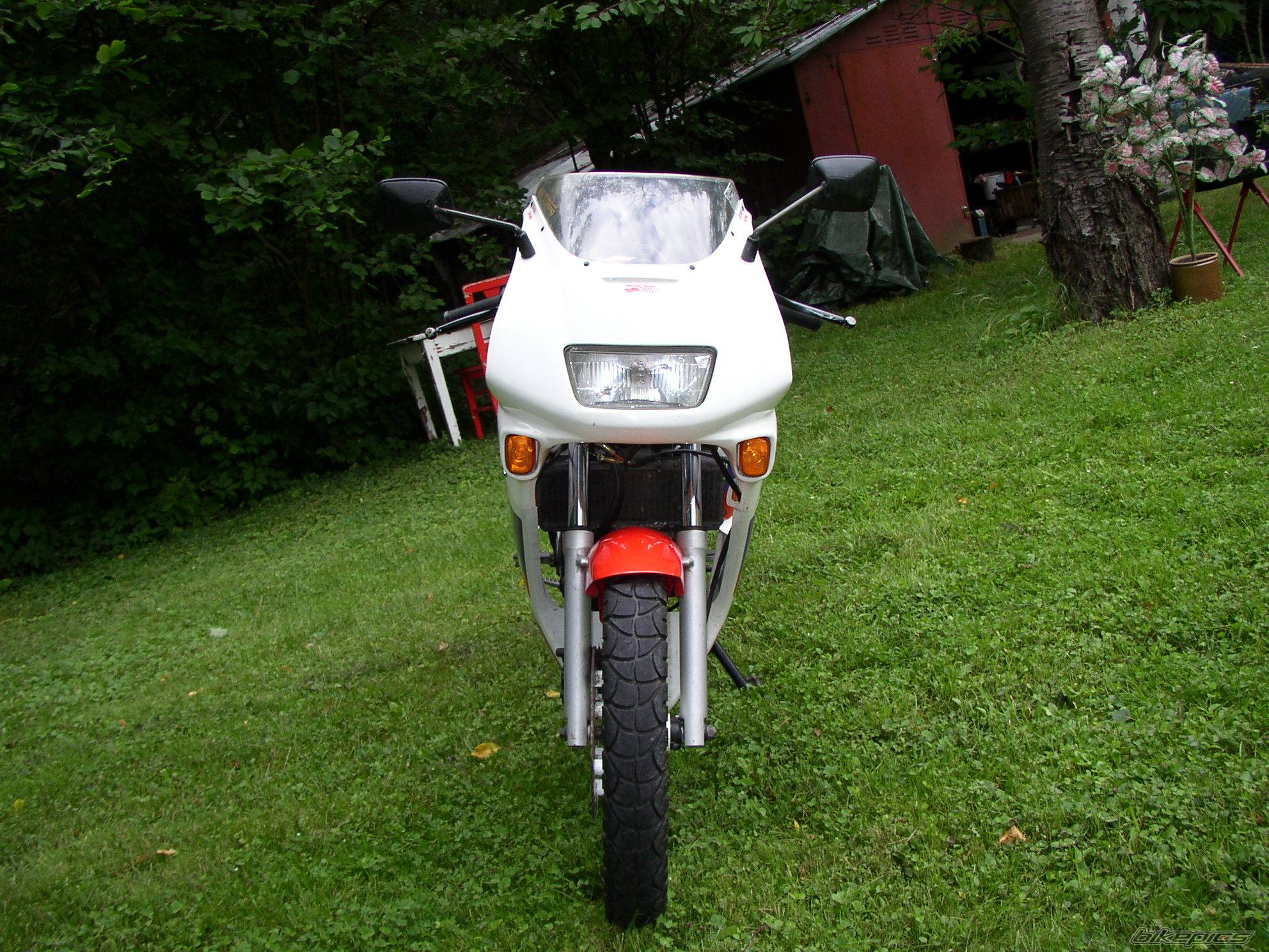 Photo 398970