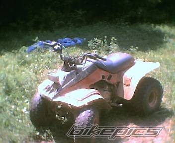 Photo 399169