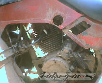 Bike Photo 399172