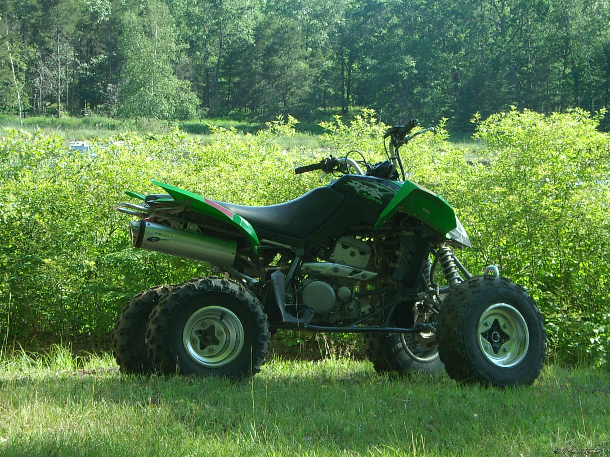 Photo 399191