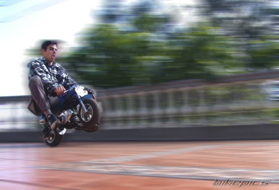 Bike Photo 399251