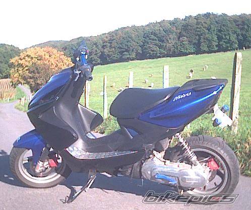 Photo 39927