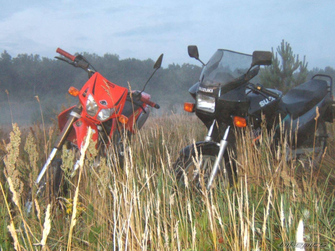 Bike Photo 399351