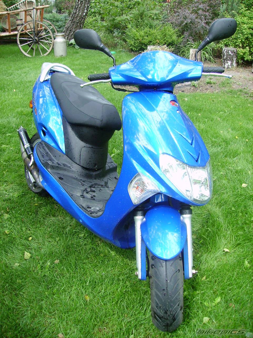 Photo 399413
