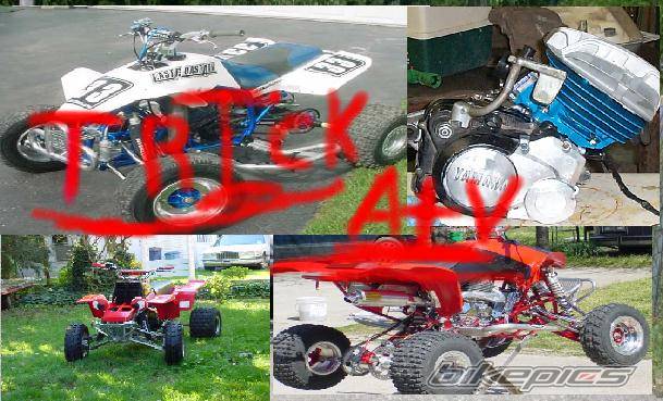 Bike Photo 39946