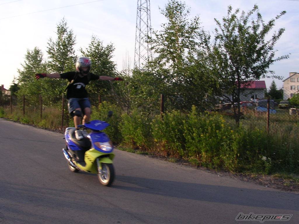 Photo 399537