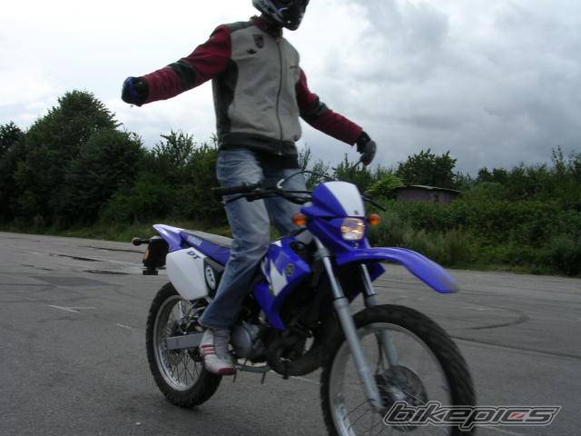 Photo 399584