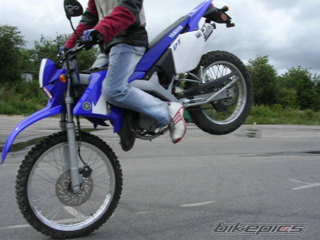 Photo 399587