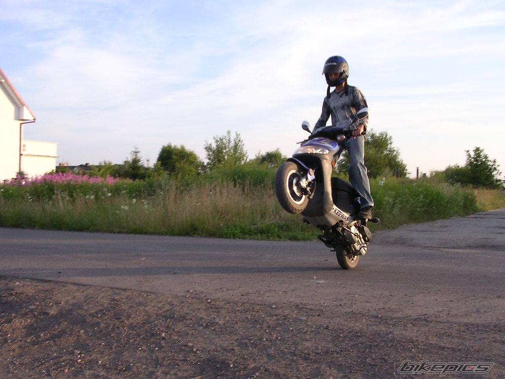 Photo 399610