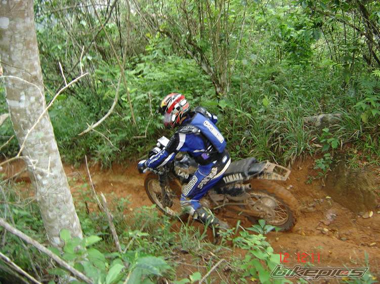 Bike Photo 399647