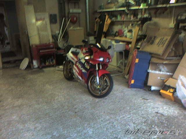 Photo 399652