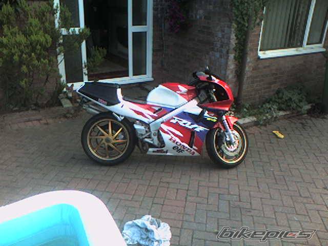Photo 399654